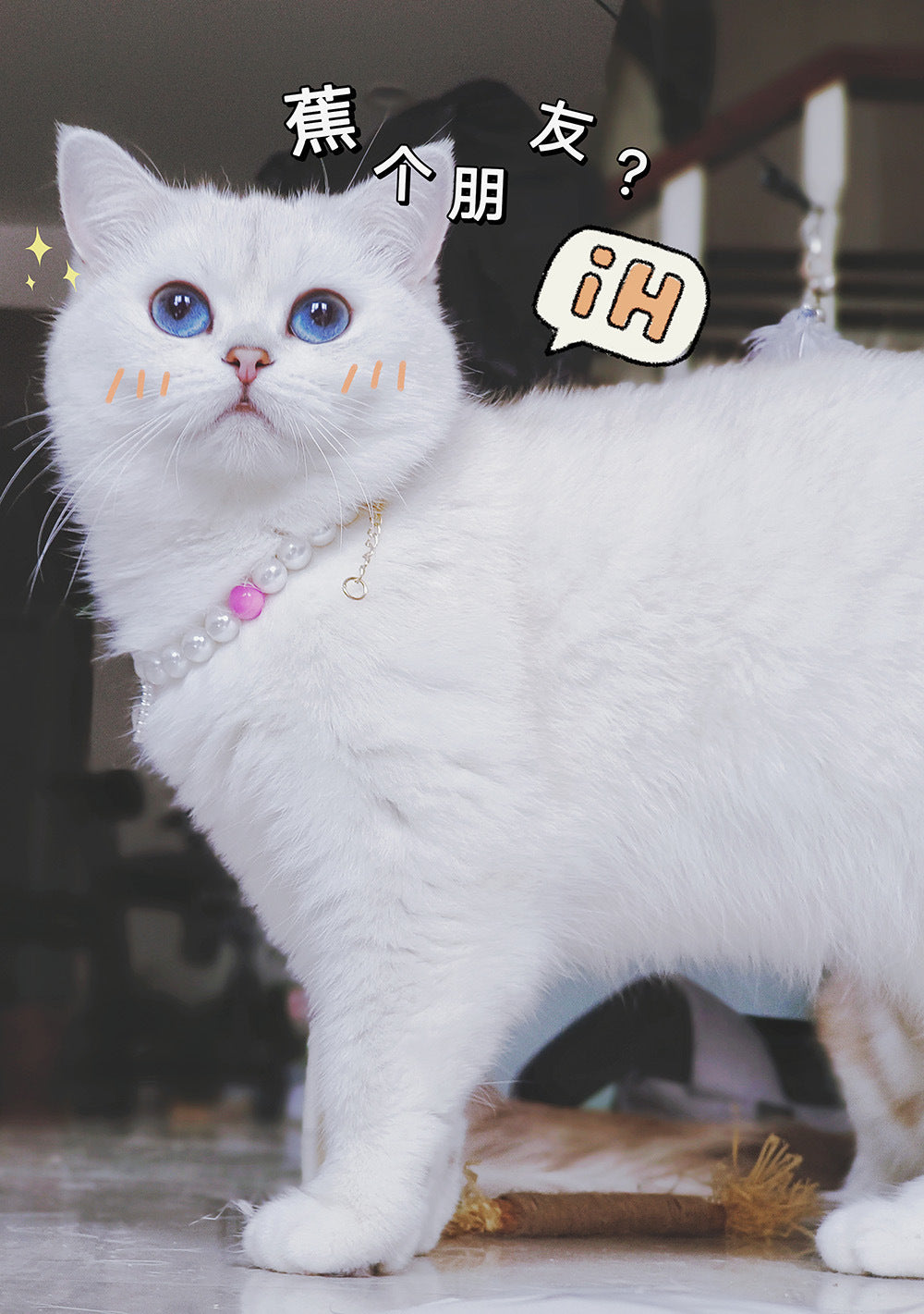 Pet Cat Beads Love Necklace