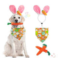 New Easter Pet Party Decor Kit