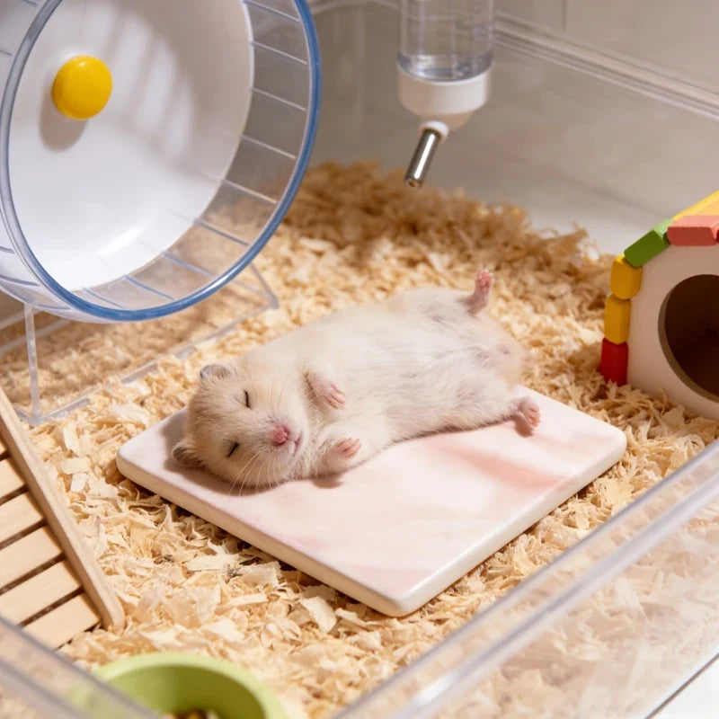 Square Hamster Cooling Pad Chew-proof and Tip-resistant Cooling Mat Cooling Pad for Hamsters Small Pet Easy To Clean
