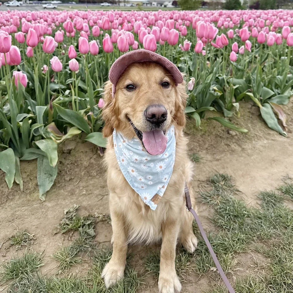 Summer Dog Sun Hat Adjustable Pet Baseball Cap for Dogs Cats Cute Breathable Puppy Hats Travel Birthday Headwear Accessories