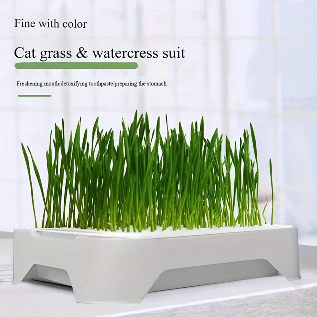Pet Cat Grass Planting Basin Soilless Culture Wheat Seedling Pot Kitten Grass Hydroponic Device Horticultural Planting Pot