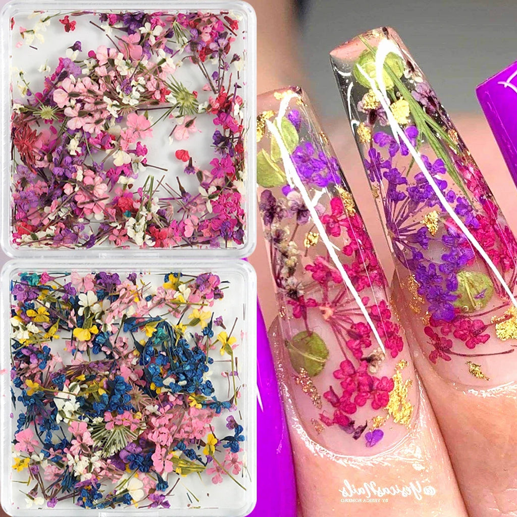 Mixed Colorful Natural Flowers Nail Art Charms Klein Blue Yellow Red Five-petaled Flower Natural Floral Manicure Accessories
