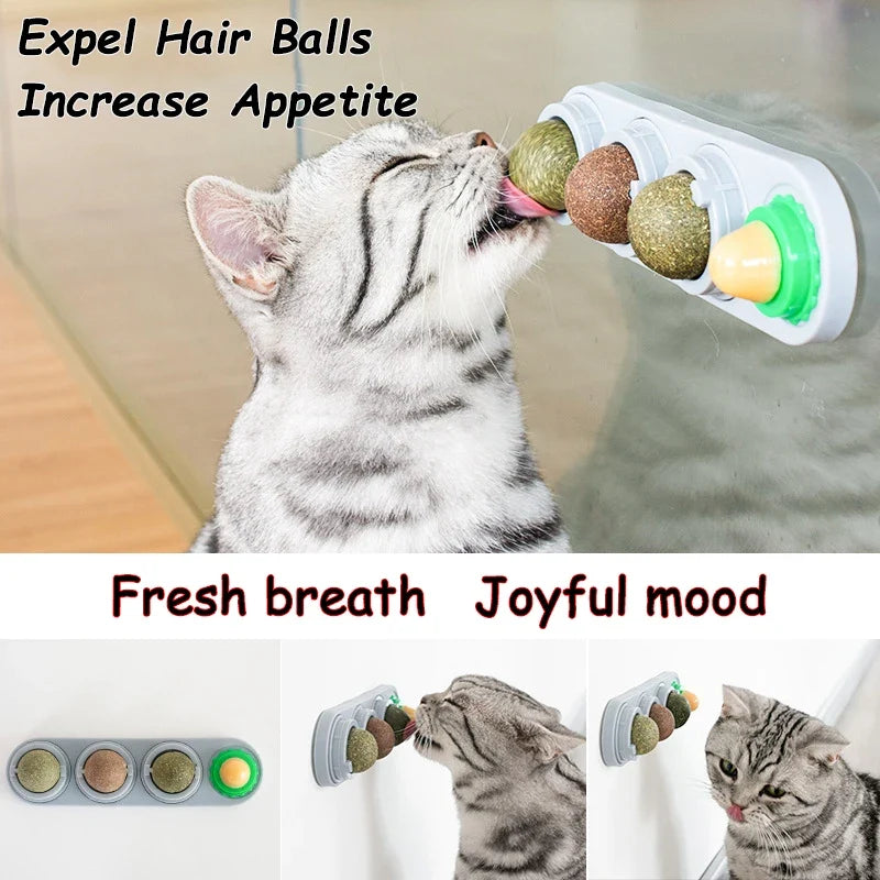 Natural Catnip Toys Silvervine Balls Teeth Cleaning Dental Wall Treats Extra Cat Energy Ball Edible Cat Lick Healthy Kitten Chew