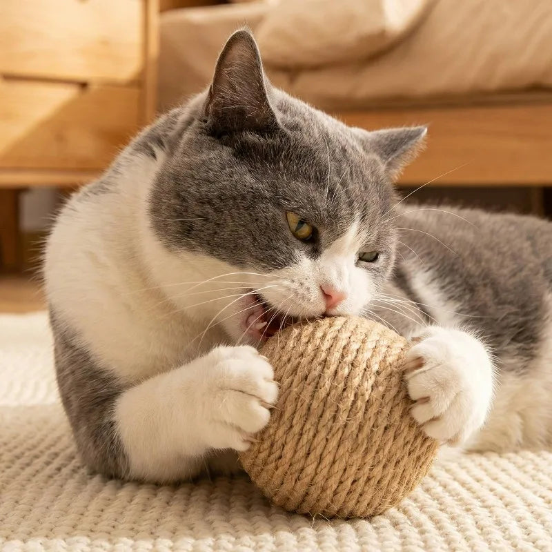 Interactive Cat Toy Ball Natural Sisal Scratching Eco Friendly Kitten Play Toys Chase Roller Pet Enrichment Teeth Cleaning