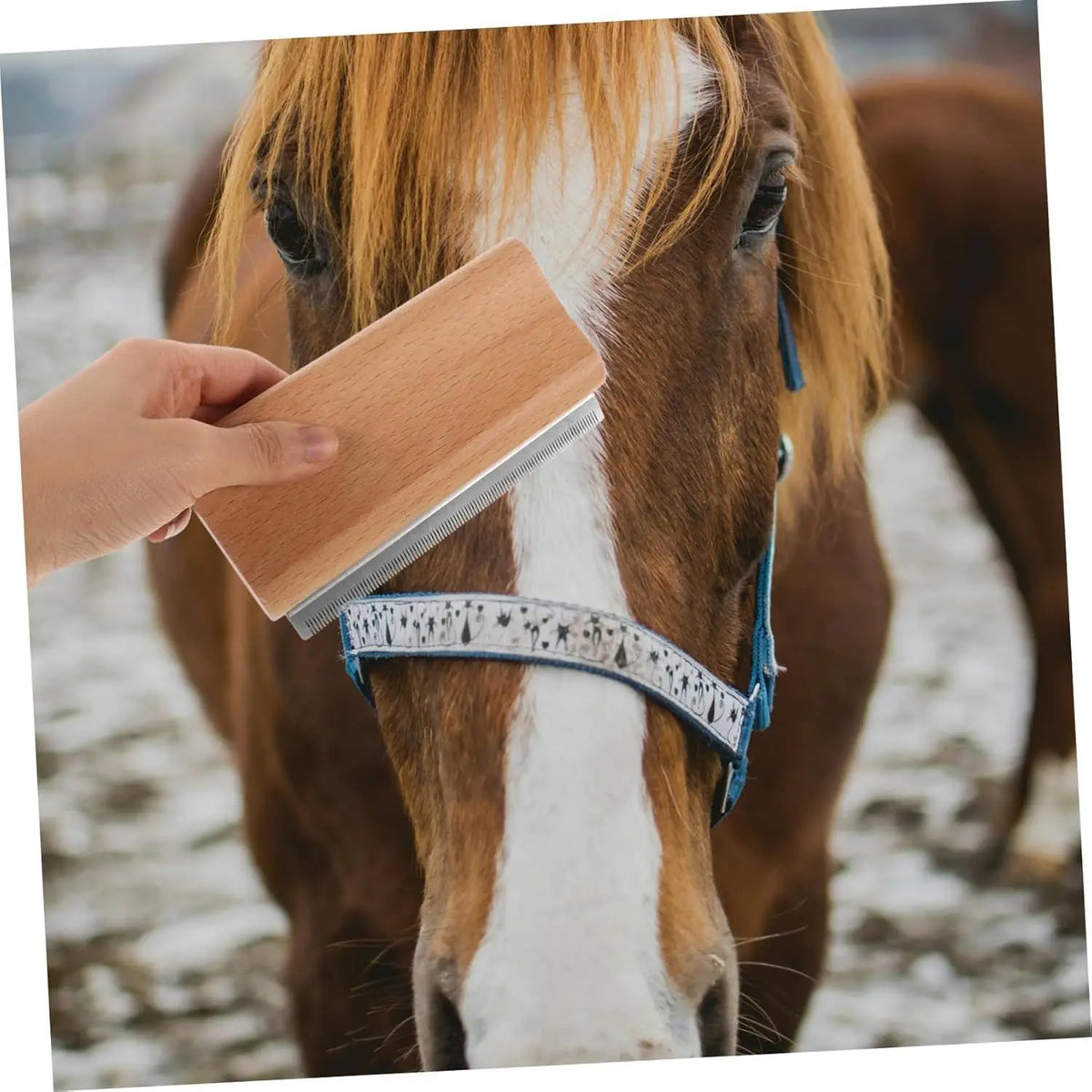 Wood Pet Grooming Brush Comb - Self Cleaning Powerful Floating Hair Removal Tool for Cats Dogs Horses Long Hair Shedding