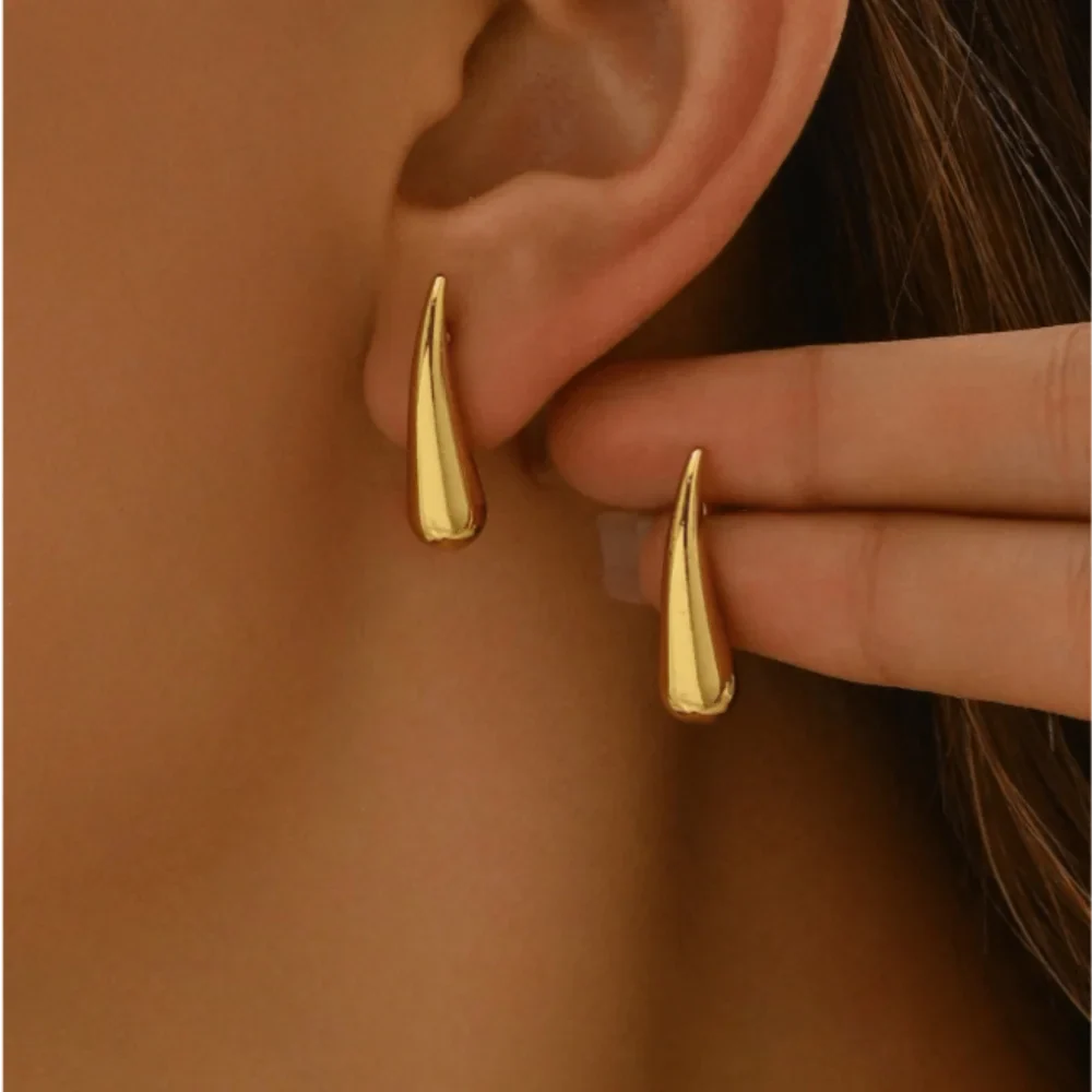 Minimalist Niche Design Water Drop Chili Earrings for Women Fashionable and Versatile Stainless Steel Earrings
