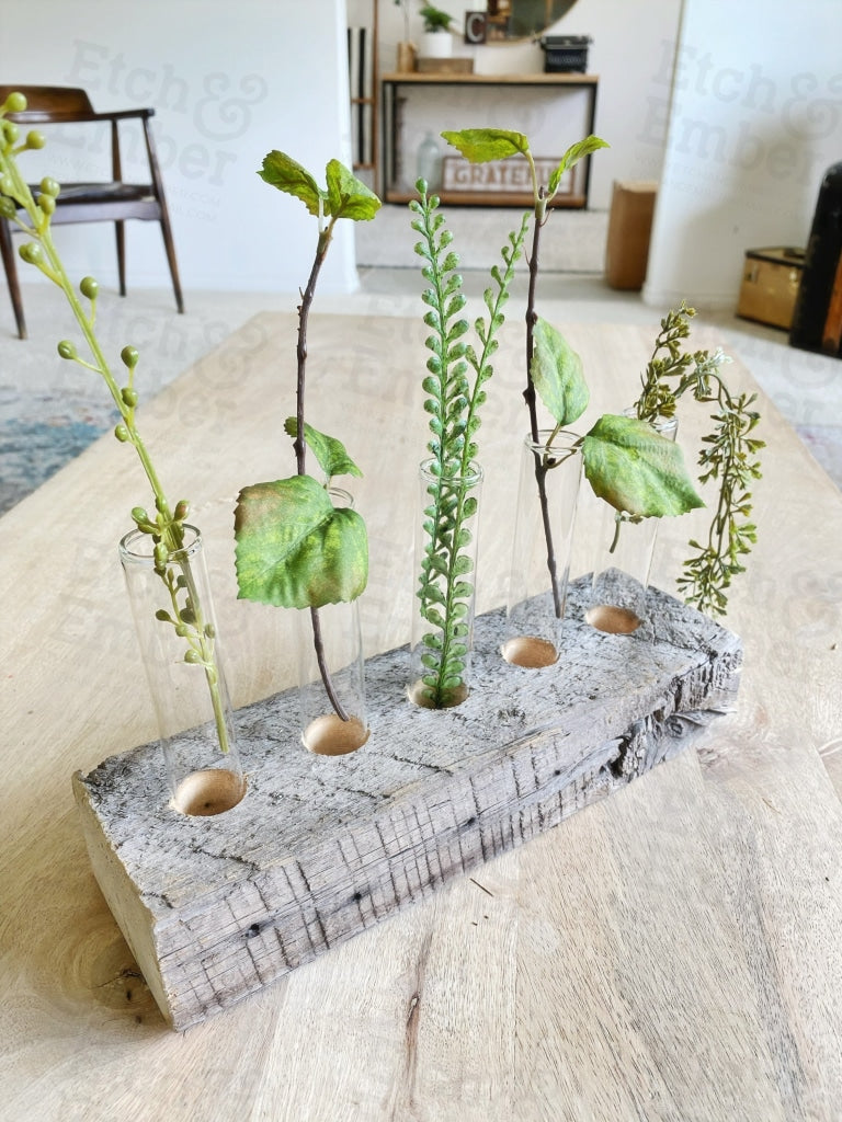 Reclaimed Wood and Glass Plant Propagation Vases
